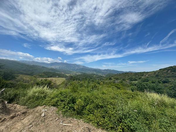 Vente appartement 4 pièces 78,17 m2 - Olmeta di Tuda