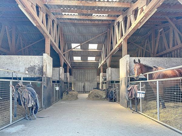 Propriété équestre d’exception : écurie 37 boxes, maison, piste, étang, 15 hectares