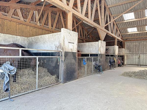 Propriété équestre d’exception : écurie 37 boxes, maison, piste, étang, 15 hectares