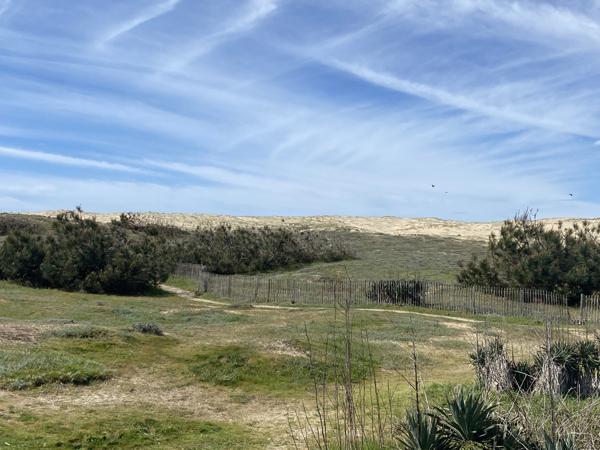 Maison 4 pièces - 60 m² Bien prestige