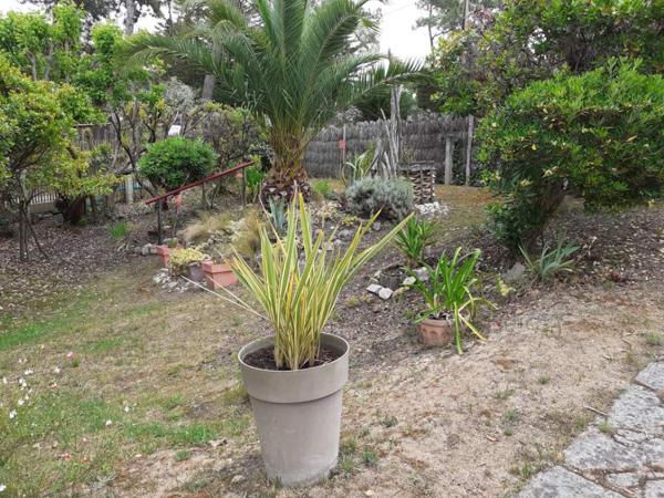 Maison 4 pièces - 60 m² Bien prestige