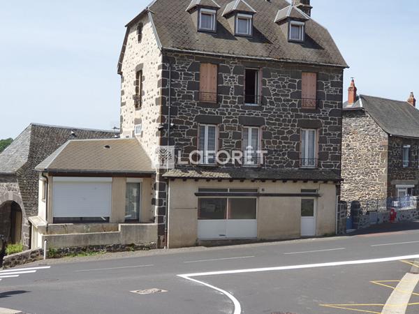 Achat immeuble Pierrefort - 9 pièce(s) - 180 m² - 60 000 €