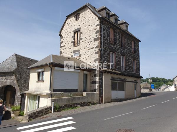 Achat immeuble Pierrefort - 9 pièce(s) - 180 m² - 60 000 €