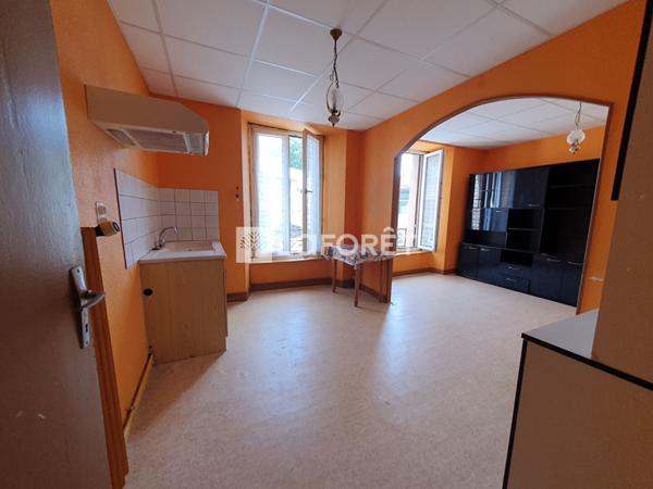 Achat immeuble Pierrefort - 9 pièce(s) - 180 m² - 60 000 €