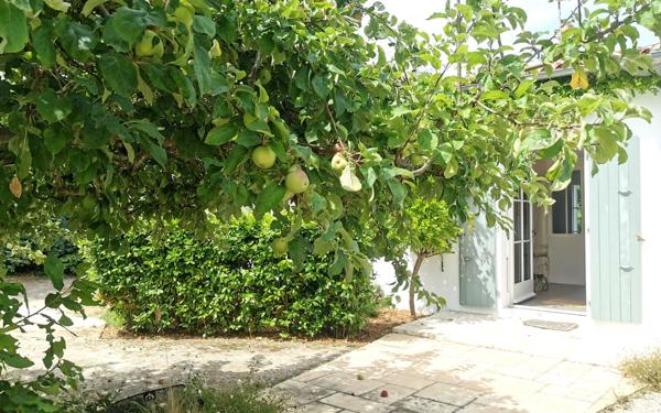 Maison à vendre    8 pièces •  Les Portes-en-Ré