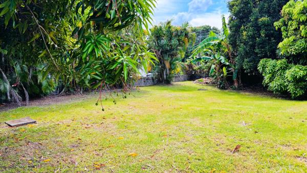 Magnifique maison à rénové - Quartier Terreville