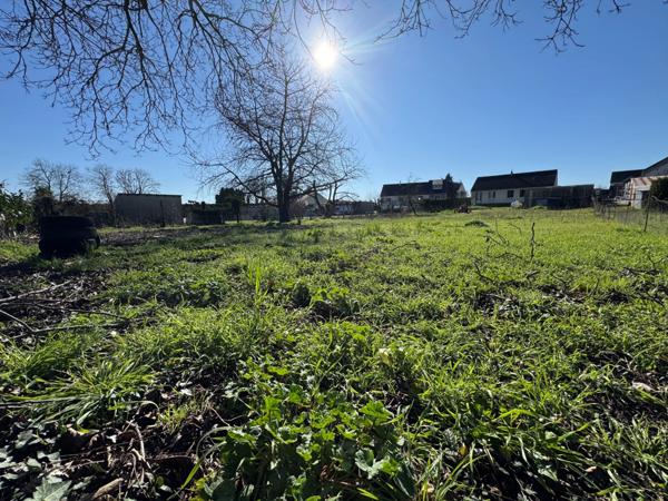 Terrain à vendre MARCE (49) 1254 M²