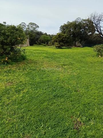 Vente Maison 9 pièces 317 m2 à Calvi