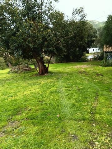 Vente Maison 9 pièces 317 m2 à Calvi