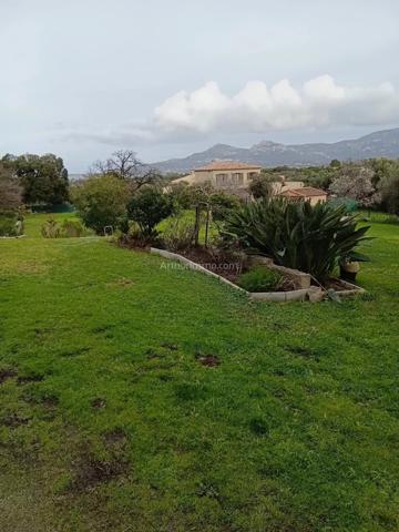 Vente Maison 9 pièces 317 m2 à Calvi