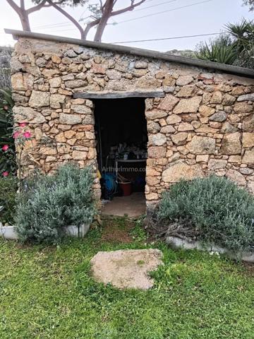 Vente Maison 9 pièces 317 m2 à Calvi