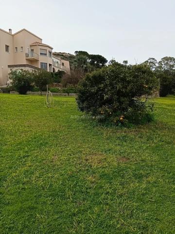 Vente Maison 9 pièces 317 m2 à Calvi
