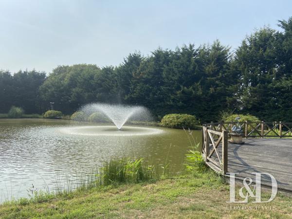 Magnifique et Luxueuse