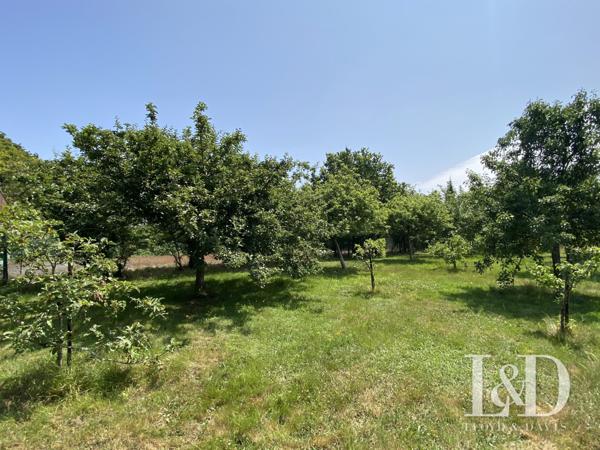 Magnifique et Luxueuse