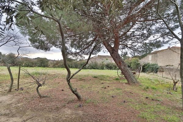 Maison Laure Minervois 4 pièce(s) 105 m2