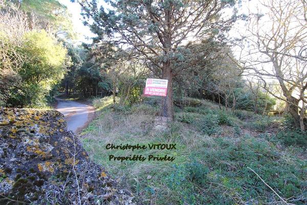 Terrain viabilisé - 2500 m2 - 11570 PALAJA