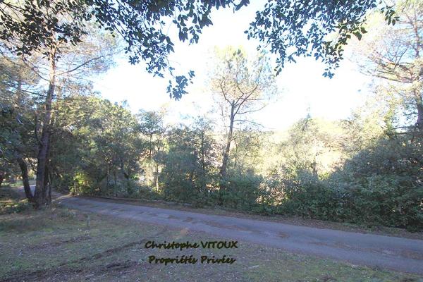 Terrain viabilisé - 2500 m2 - 11570 PALAJA