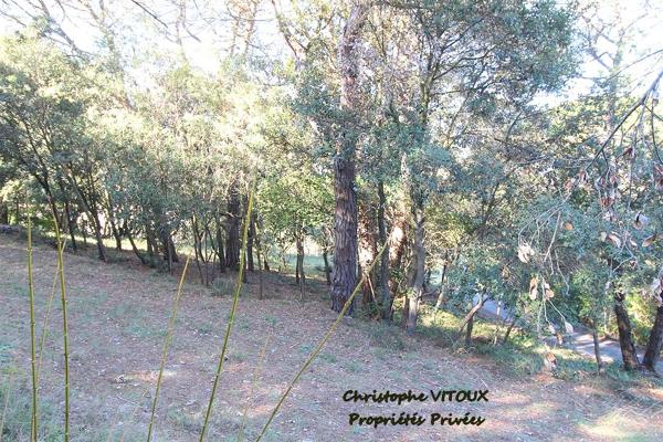 Terrain viabilisé - 2500 m2 - 11570 PALAJA