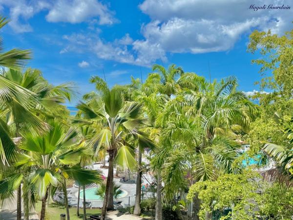 A VENDRE – DEUX STUDIOS RENOVES ET COMMUNICANTS – JUSQU’A 8 PERSONNES – SAINTE-ANNE