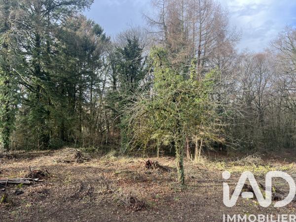 Maison à vendre 4 pièces 74 m² Lagraulière