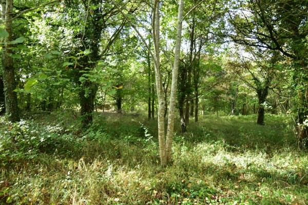 Discrète folie du XVIIIè lovée dans une nature sauvage