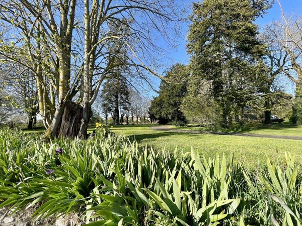Château avec piscine chauffée, vastes dépendances, possibilité chambres d'hôtes Chef boutonne