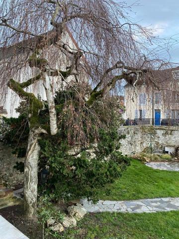 Vente / Maison