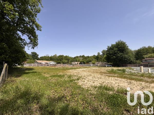Terrain à vendre 400 m² Avensan