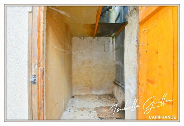 Maison à vendre 2 appartements LE CHATELET (18)