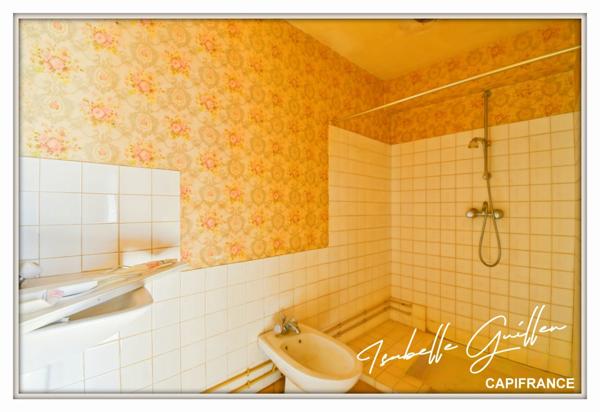 Maison à vendre 2 appartements LE CHATELET (18)