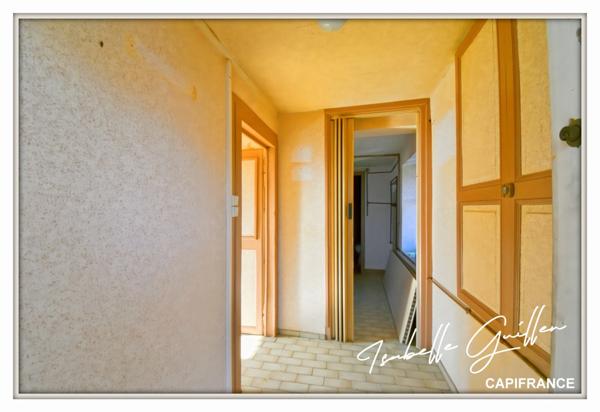 Maison à vendre 2 appartements LE CHATELET (18)