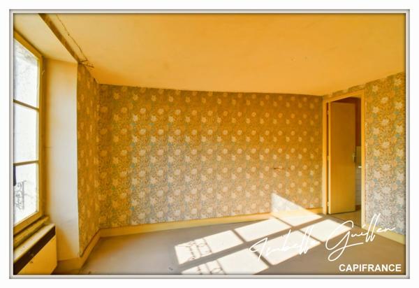 Maison à vendre 2 appartements LE CHATELET (18)