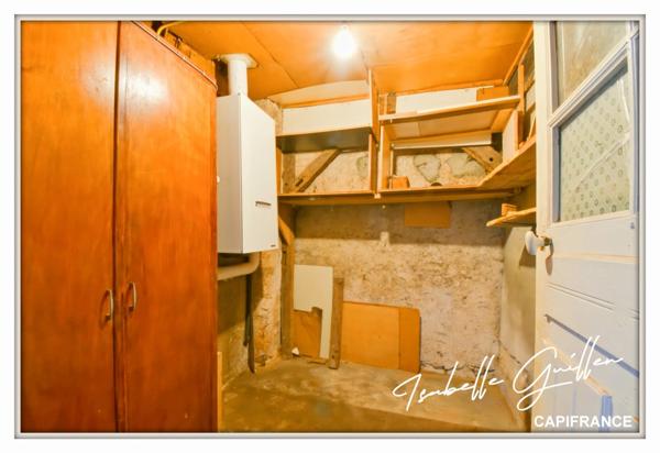 Maison à vendre 2 appartements LE CHATELET (18)