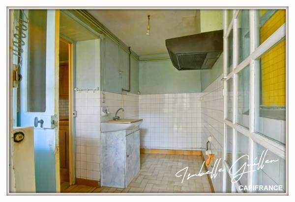 Maison à vendre 2 appartements LE CHATELET (18)