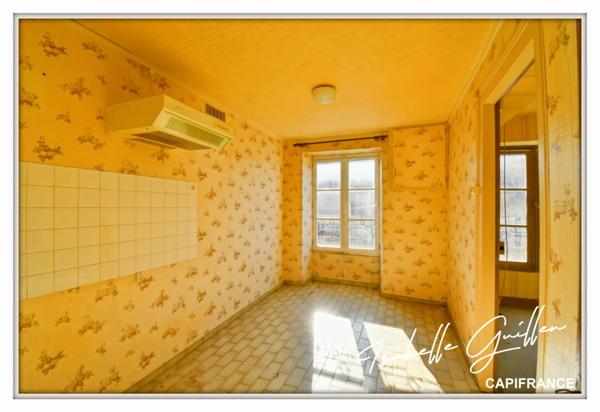 Maison à vendre 2 appartements LE CHATELET (18)