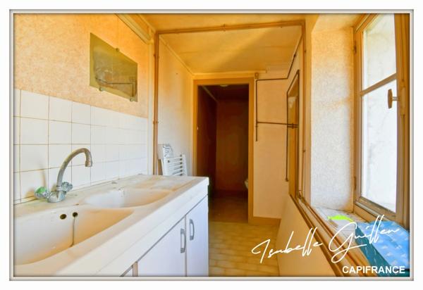 Maison à vendre 2 appartements LE CHATELET (18)