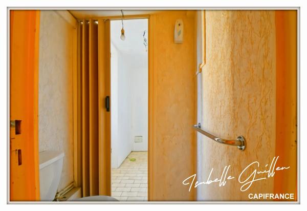 Maison à vendre 2 appartements LE CHATELET (18)