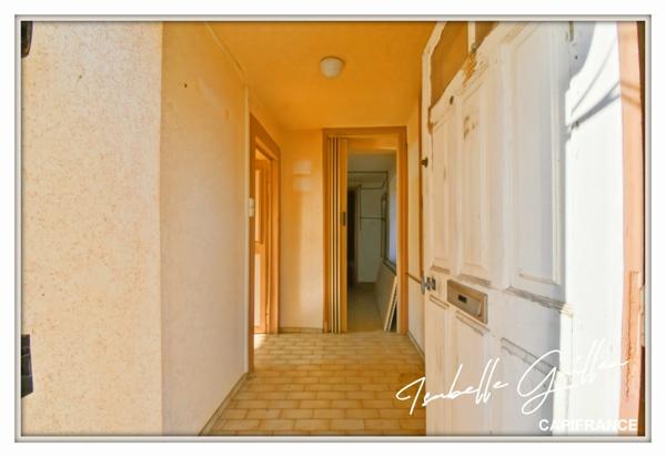 Maison à vendre 2 appartements LE CHATELET (18)