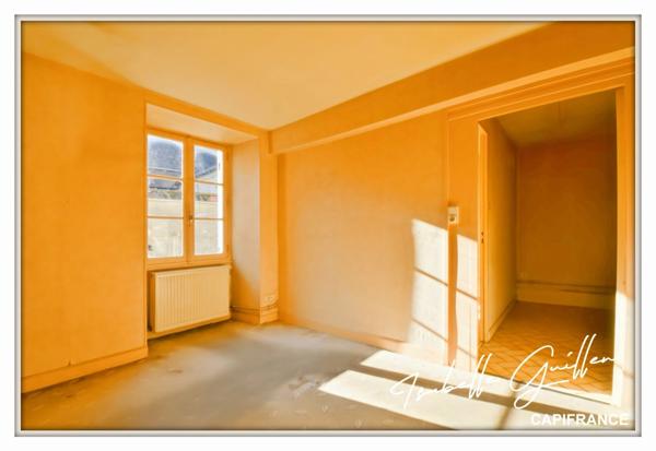Maison à vendre 2 appartements LE CHATELET (18)