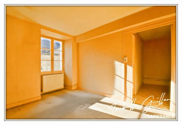 Maison à vendre 2 appartements LE CHATELET (18)