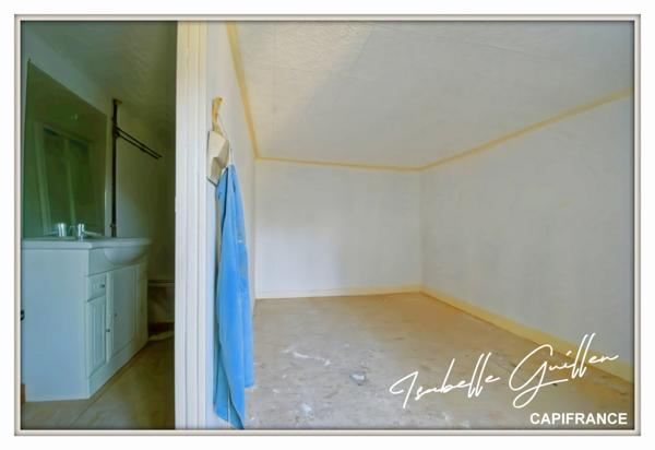 Maison à vendre 2 appartements LE CHATELET (18)