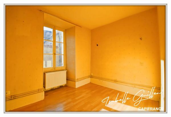 Maison à vendre 2 appartements LE CHATELET (18)