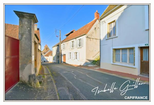 Maison à vendre 2 appartements LE CHATELET (18)