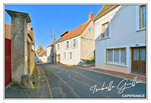 Maison à vendre 2 appartements LE CHATELET (18)