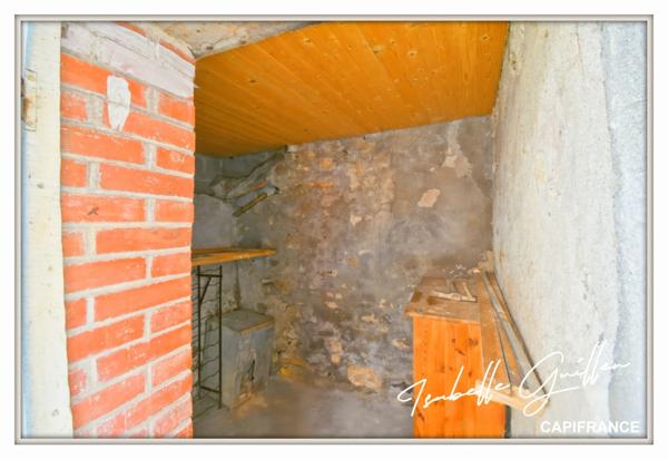 Maison à vendre 2 appartements LE CHATELET (18)