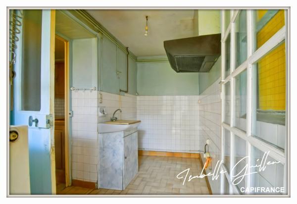 Maison à vendre 2 appartements LE CHATELET (18)