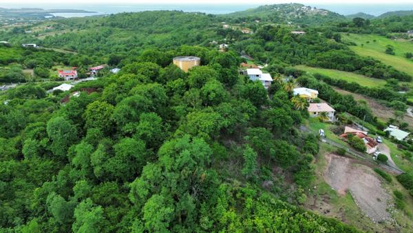 Terrain de 1660 m2 à vendre au Marin