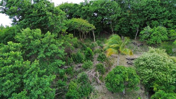 Terrain de 1660 m2 à vendre au Marin