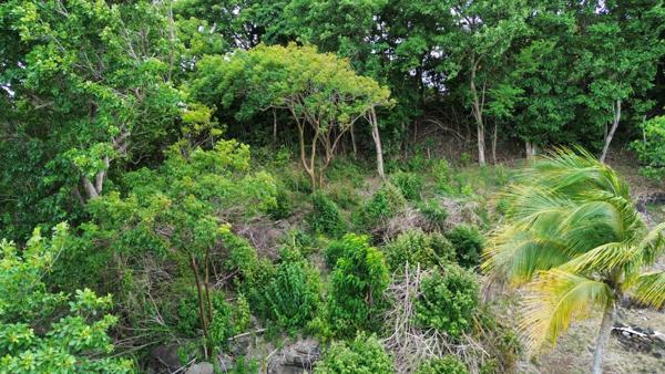 Terrain de 1660 m2 à vendre au Marin