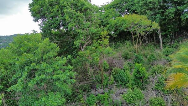 Terrain de 1660 m2 à vendre au Marin